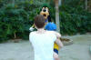 Nico meets Goofy