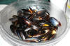 Mussels