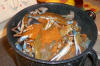 Crab Pot