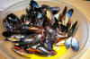 Mussels