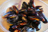 Mussels