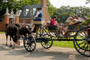 HorseCarriage