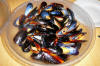 Mussels