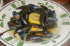 Mussels