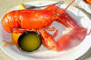 Lobster