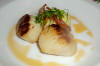 Scallops