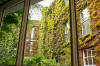 WhiteHartCourtyard