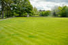 Grounds