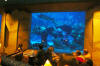 AquariumWall