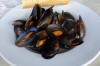 Mussels