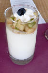 LemonTarragonPannaCotta