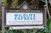 WildLifeExpress