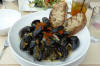 Mussels