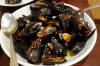 Mussels