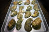 Oysters