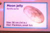 MoonJelly