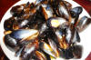 Mussels