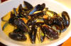 Mussels