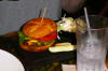 Rain_Forest_Burger