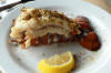 LobsterTail