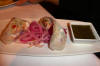 SpringRolls