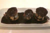 Profiteroles