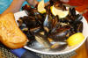 Mussels